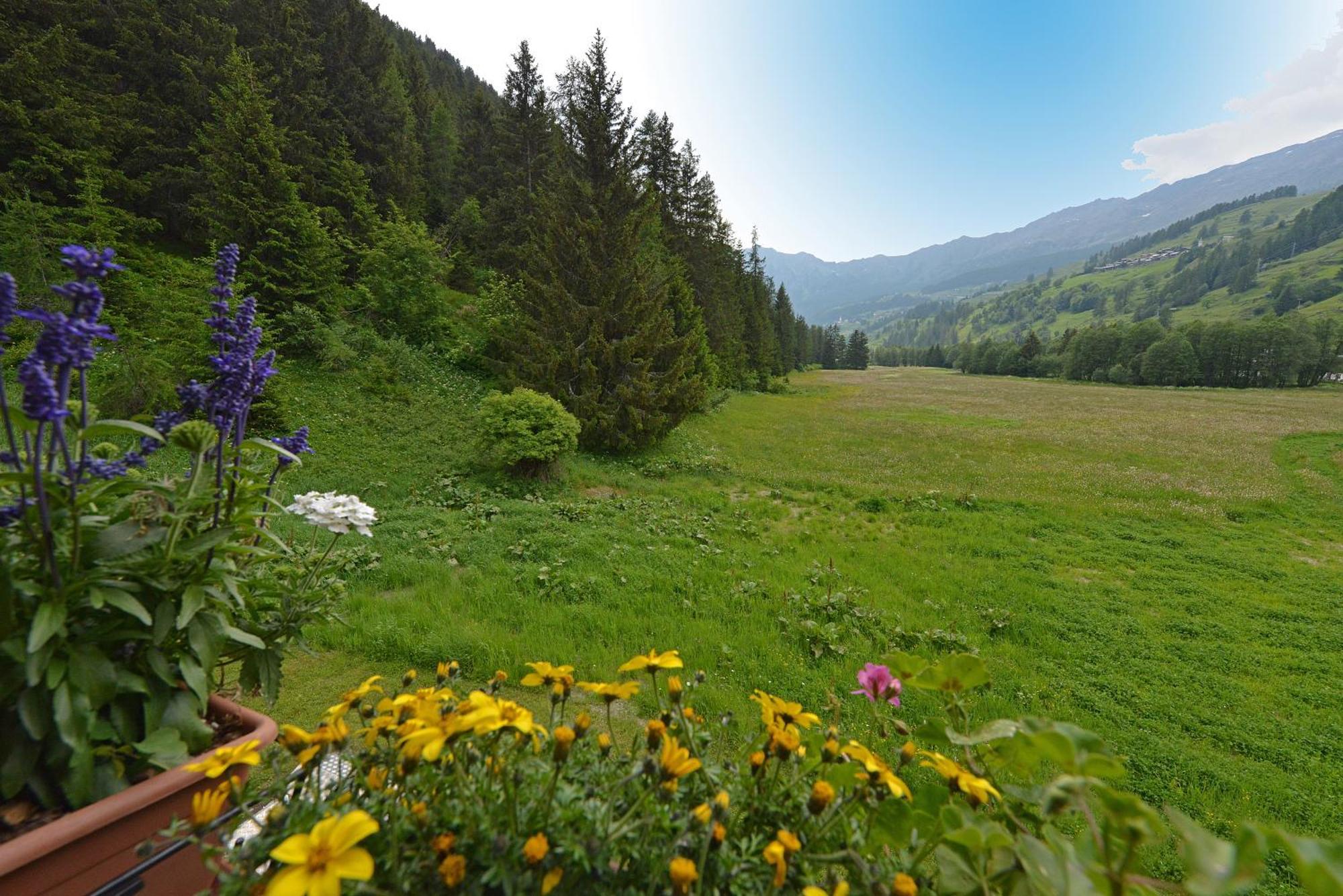 Hotel Le Petit Abri Champoluc Exterior foto
