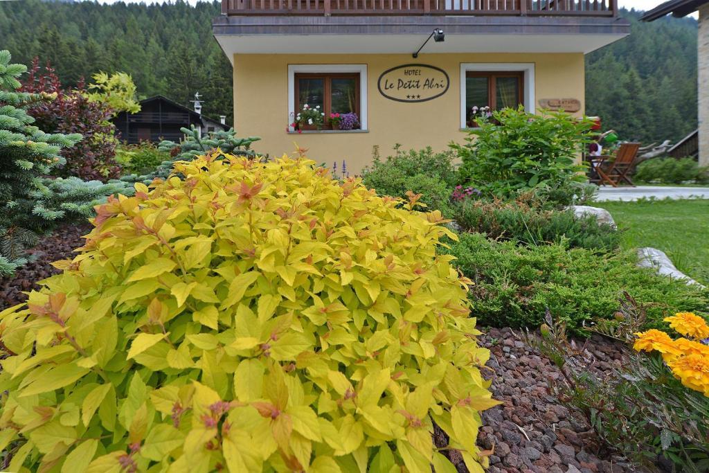 Hotel Le Petit Abri Champoluc Exterior foto